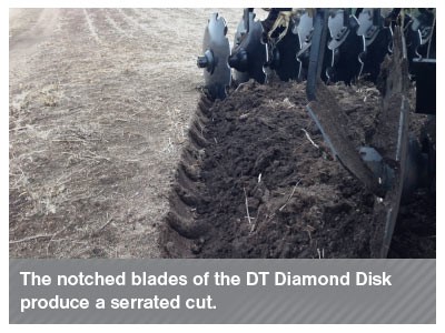 Diamond-Disk-Notched-Blade-Cut.jpg