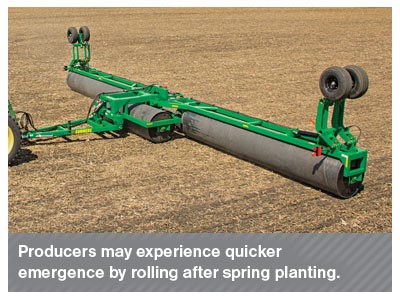 Four-Uses-For-Land-Rollers-2.jpg