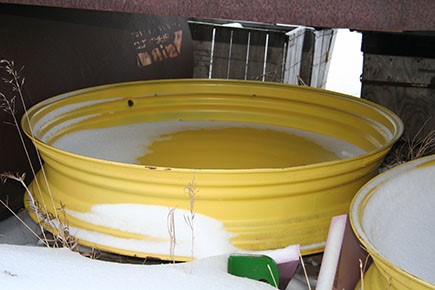 10x50 Wheel 1
